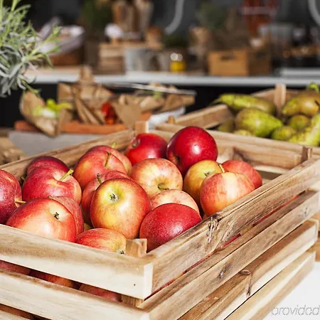 Western Park Globetrotter Airport