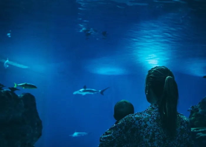 Western Park Globetrotter Airport 3*