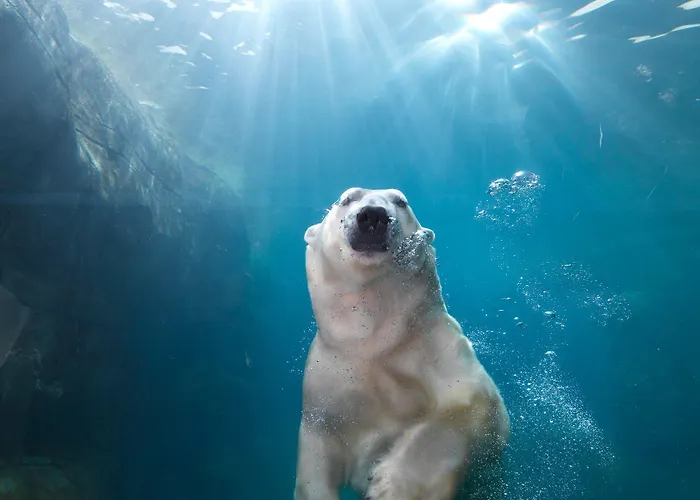 Western Park Globetrotter Airport Copenhagen